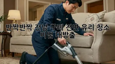 ✨ 반짝반짝! 전남 구례 전면 유리 청소 비법 대방출! ✨